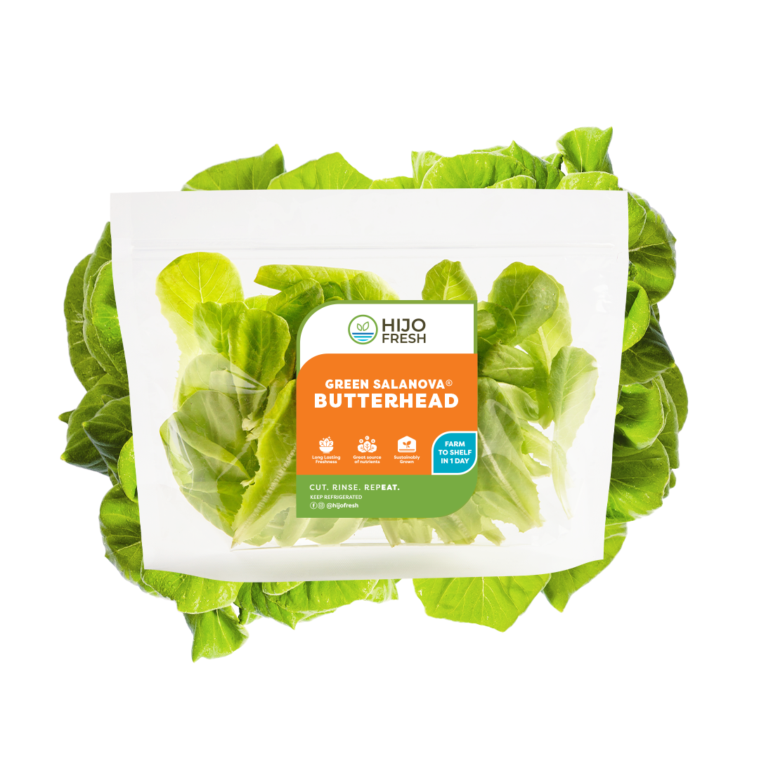 Green Salanova Butterhead