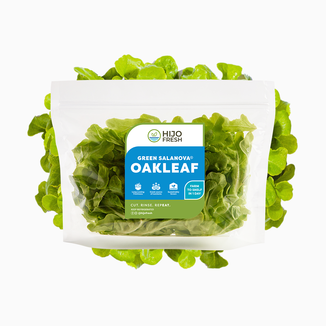 Green Salanova Oakleaf