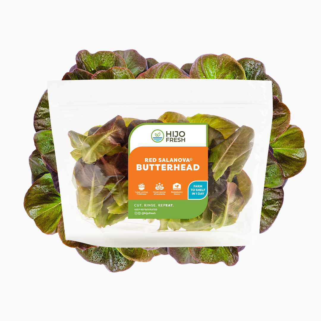 Red Salanova Butterhead