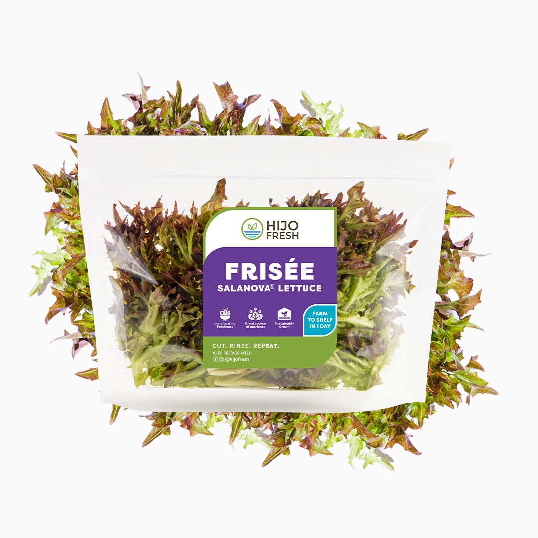 Red Salanova Frisée