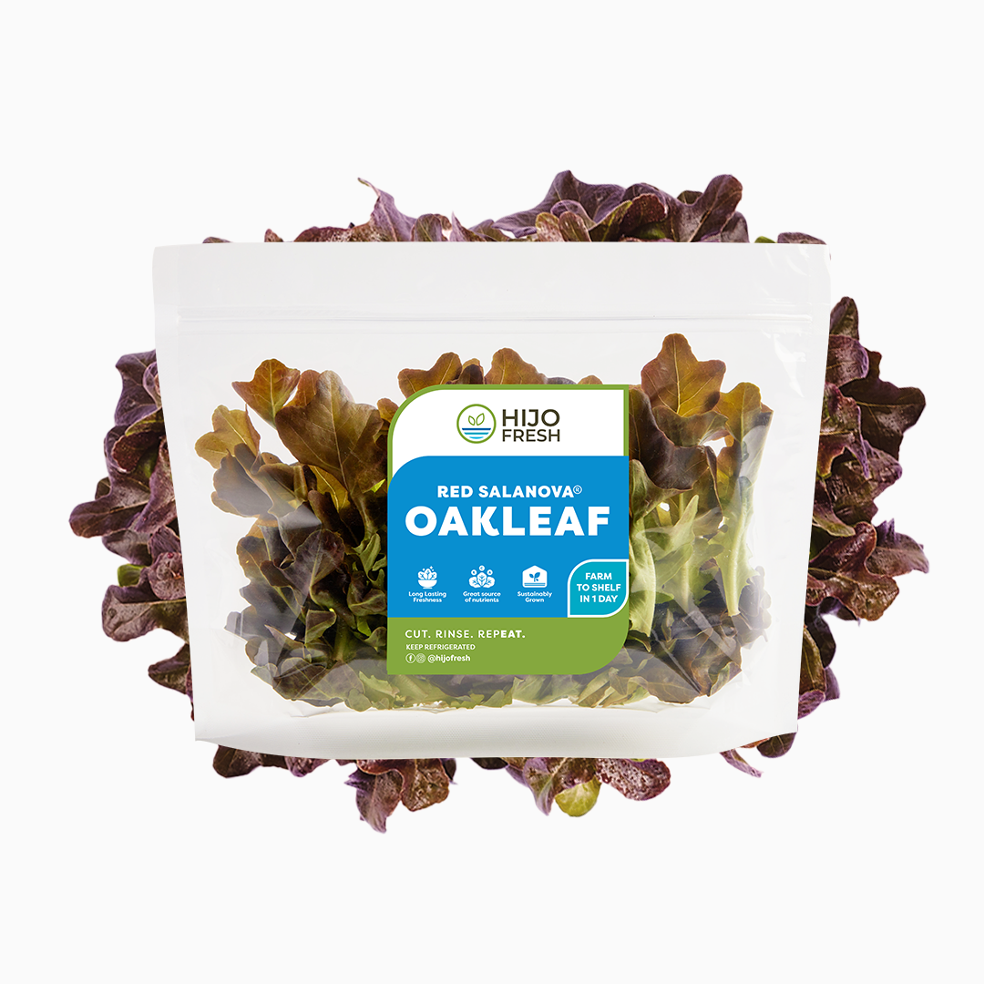 Red Salanova Oakleaf