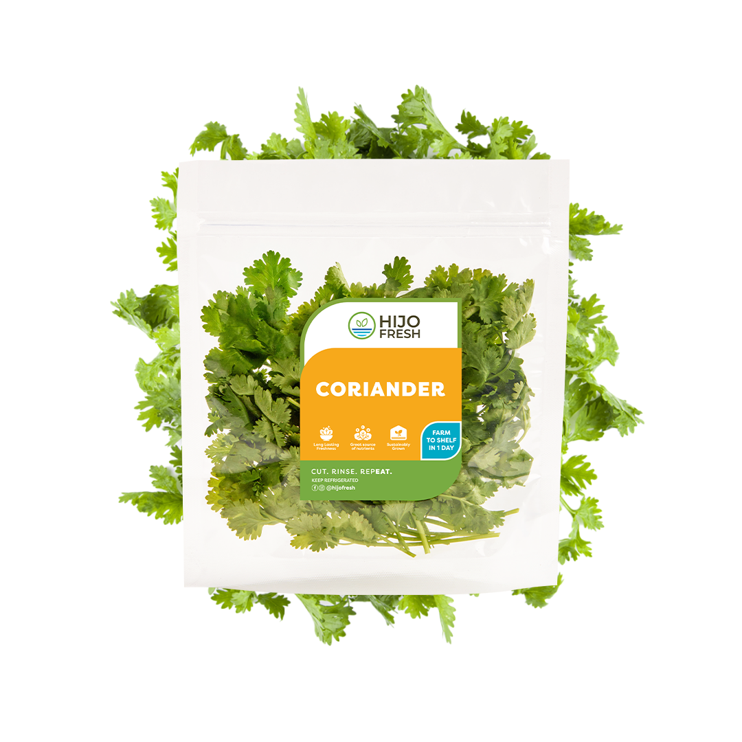 Coriander